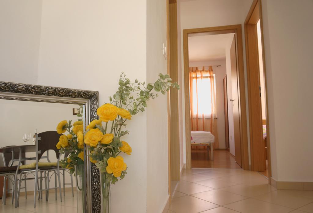 Croatian Home Apartments زادار المظهر الخارجي الصورة
